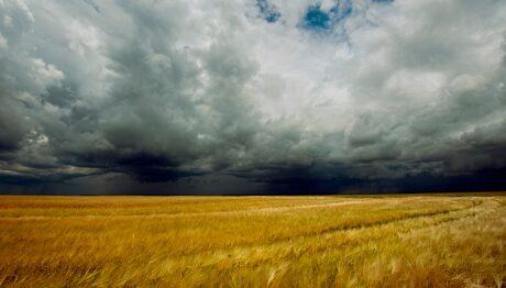 FOTO: Poděkujme s Petrem Weissmanem za každý den