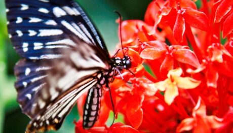 FOTO: Někdy stačí pozorovat svět kolem sebe