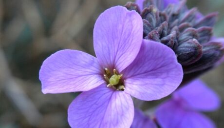 FOTO: Dívejte se na svět střízlivýma očima