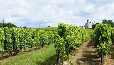 FOTO: Vinařská oblast Bordeaux