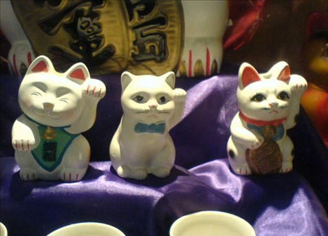 FOTO: Kočky v Malajsii přinášejí štěstí