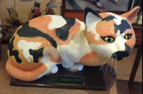 FOTO: Kočky mají své místo ve vitríně.