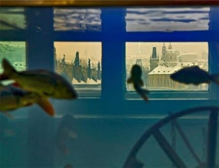 FOTO:vltavsky-rybi-betlem