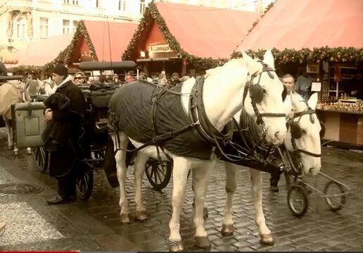 FOTO: Koně s kočím jako z pohádky