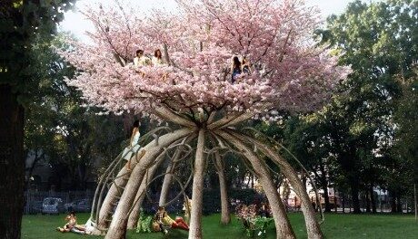 FOTO: Sakura jako studovna, vizualizace studia Visiondivision