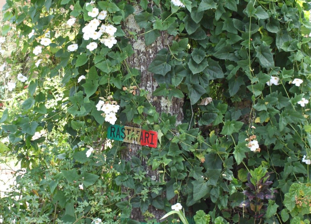 FOTO: rastafánství na Jamajce