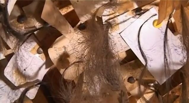 FOTO: Lokna vlasů je doplněna adresou dárkyně