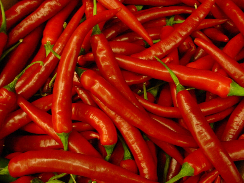 FOTO: Chilli