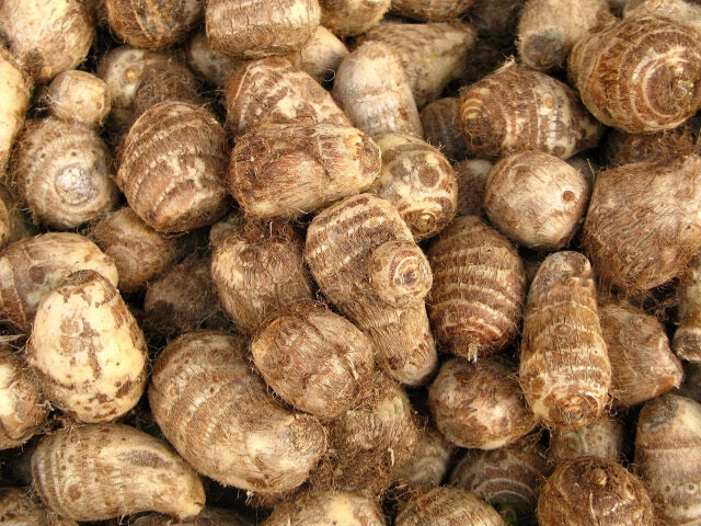 FOTO: Vypadá celer snad jako afrodiziakum?
