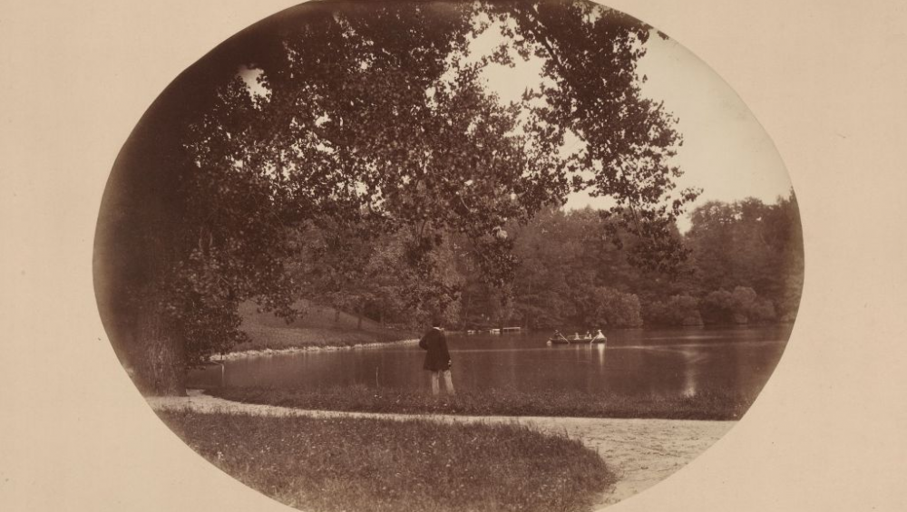 FOTO: Fotografie zámeckého parku v Heřmanově Městci