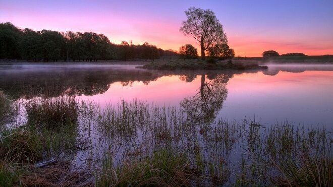 FOTO: Důležitou roli Srpnové neděle hraje složka lyrická
