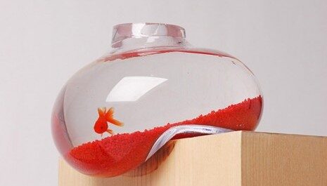 FOTO: Psalt Design - Bubble Tank