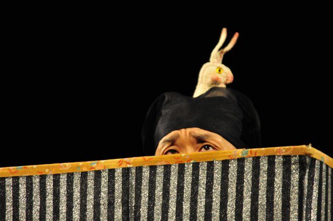 FOTO: Nori Sawa, Zajíc