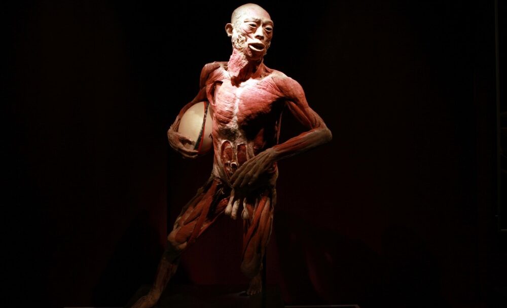 The Human Body Exhibition