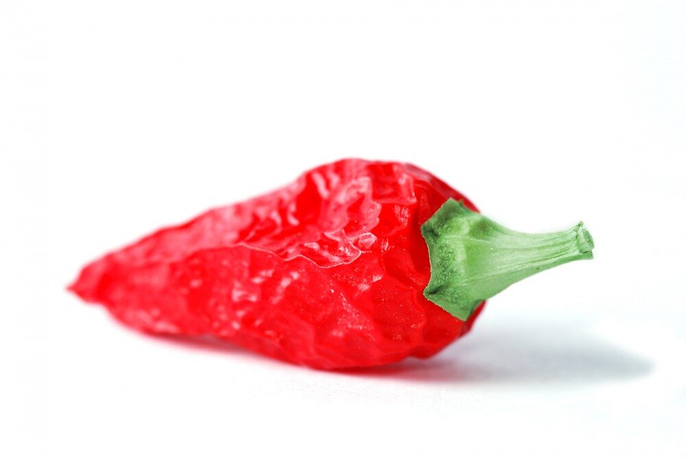 FOTO: Chilli paprička