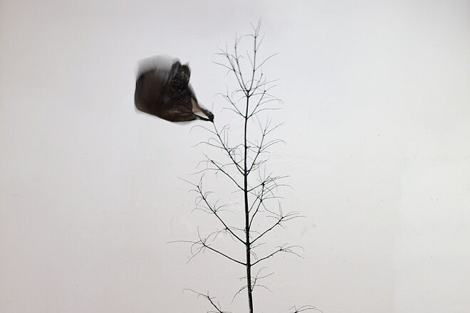 OBR: Krištof Kintera: Černá vlajka