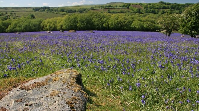 FOTO: Každý si chce někdy odpočinout na venkově
