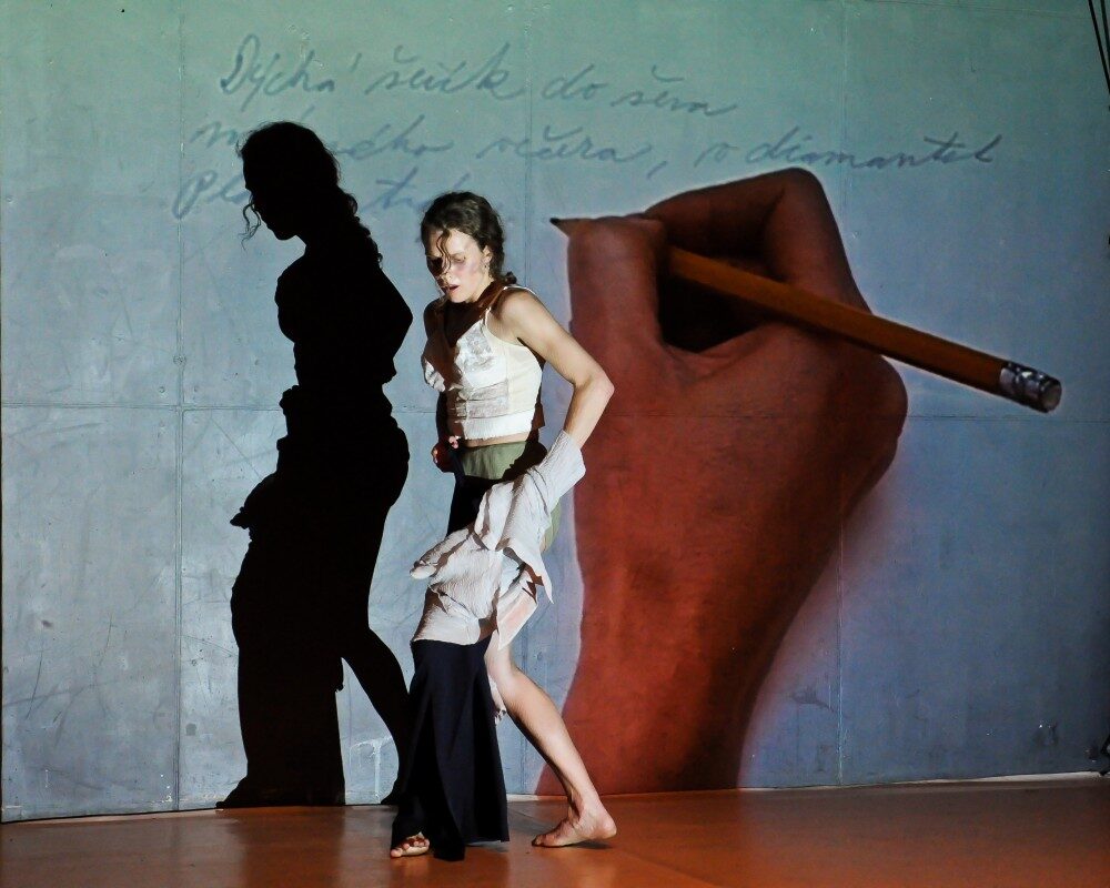 Česká taneční platforma 2012