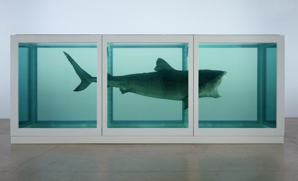 FOTO: Damien Hirst: Fyzická nemožnost smrti v mysli žijících, Zdroj: tate.org.uk