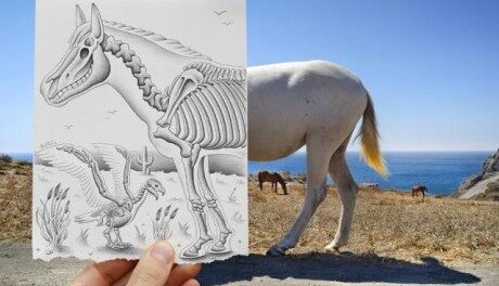 FOTO: Ben Heine - Picture Vs. Camera