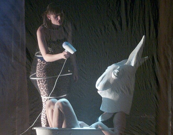 FOTO: Bílý králík v Disku.