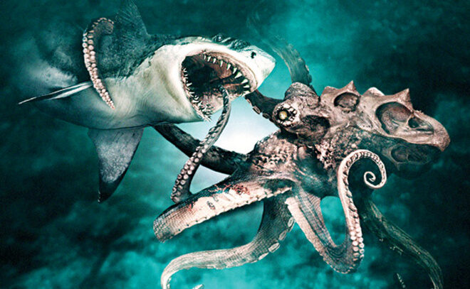 FOTO: Mega shark vs Giant octopus