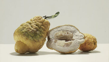 OBR: Luciano Ventrone - ovoce