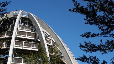 FOTO: Národní park Bavorský les