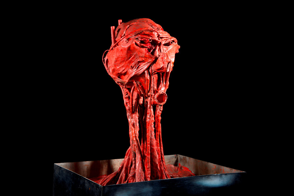 OBR: Karel Nepraš v DOX