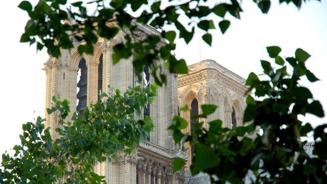 FOTO: Notre Dame