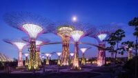 OBR: Singapore Supertrees
