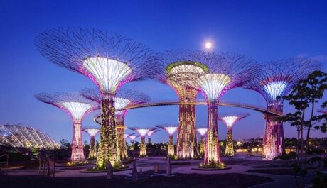OBR: Singapore Supertrees