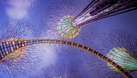OBR: Singapore Supertrees in Night