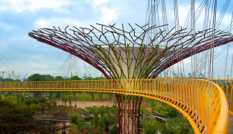 OBR: Singapore Supertrees Skyway