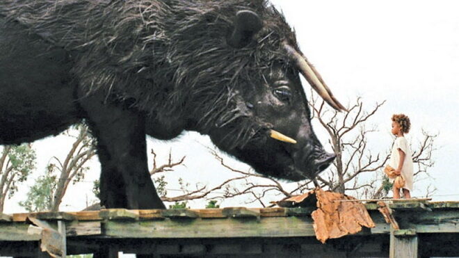 FOTO: Divoká stvoření jižních krajin