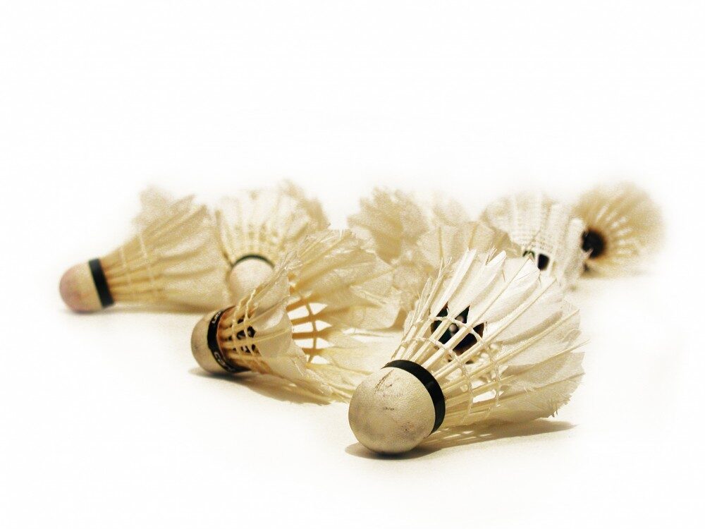 I badminton si můžeme vybrat na vysoké škole, Zdroj: sxc.hu