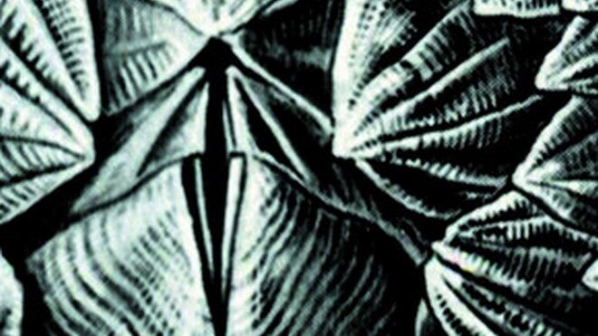 FOTO: výřez obálky knihy Náměsíčníci