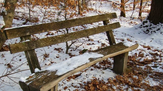 FOTO: Lavička v zimě