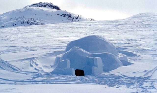 FOTO: Igloo