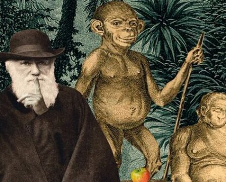 OBR: Irving Stone: Původ