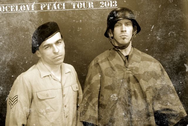 FOTO: Oceloví ptáci