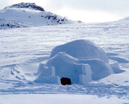igloo-1