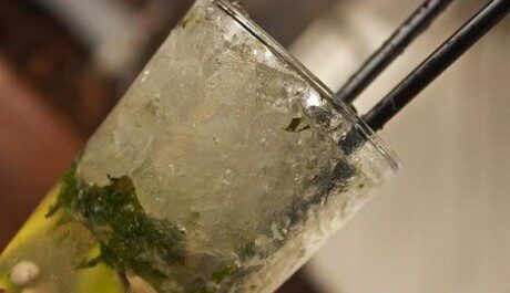 mojito-460×265