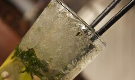 mojito-460×265