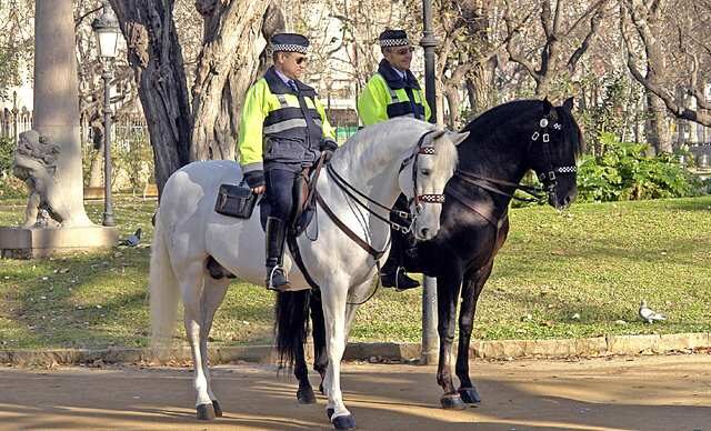 FOTO: Britská policie