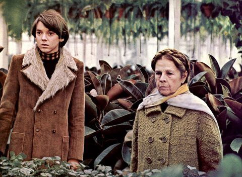 FOTO: Harold a Maude