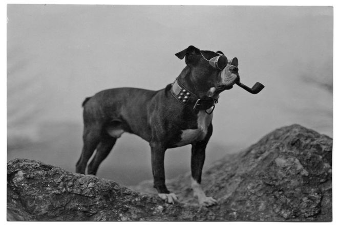 OBR: Sirotčinec slečny Peregrinové: Podivné město