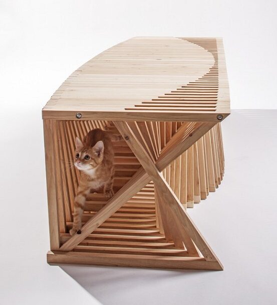 architects_for_animals-5