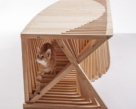 architects_for_animals-5