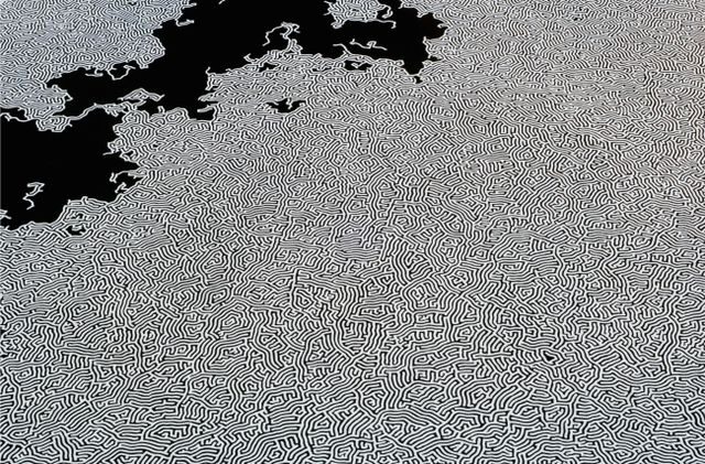 Motoi-Yamamoto-5-650×428